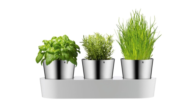 Samozavlažovacie kvetináče